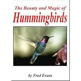The Beauty and Magic of Hummingbirdsby Fred Evans