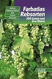 Farbatlas Rebsorten: 300 Sorten und ihre Weine - Hans Ambrosi, Erika Dettweiler-M&uuml;nch, Ernst H. R&uuml;hl