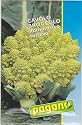 Cavolo Broccolo Romanesco-Late Rome Broccoli Seeds-5 gm