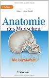 Produkt-Bild: Anatomie des Menschen: Die Lerntafeln