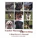 Canine Massage and Stretching: A Dog Owner's Manual