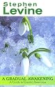 Gradual Awakening