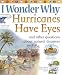I Wonder Why Hurricanes Have Eyes: And Other Questions About Natural Disasters (I Wonder Why): And Other Questions About Natural Disasters (I Wonder Why)