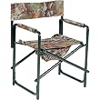 Ameristep Director's Chair