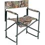 Ameristep Director's Chair