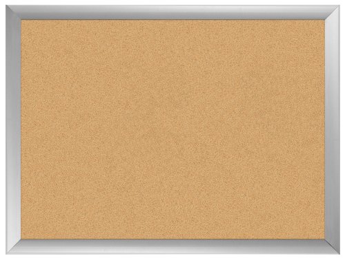 Childrens Toyshop  Toys : Board Dudes 18"x24" Aluminum Framed Cork Board (17022BDUA)