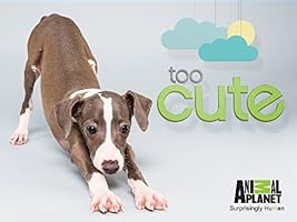 Too Cute! Season 5 [HD]