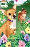 Chihuahua Decorative Switchplate Cover