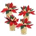 Department 56 Potted Poinsettias, Set of 4