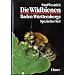 Naturf�hrer: Bienen, Wespen, Ameisen