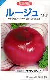 ���ޥͥ����롼���塡1�ޡ���500γ��