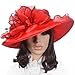 Women Floral Wide Brim Church Derby Kentucky Dress Hat (4 Colors)