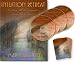 Intuition Retreat: You Have All The Equipment... Learn How It Operates
