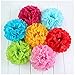 WOMHOPE® 15 Pack - 10 Inches Tissue Paper Pom Pom Flower Ball Pom-poms - Wedding Party Supplies Decorations Birthday Parties and Baby Showers Party Decorations Party Tissue Pom Poms (Light Purple)