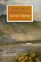 Ireland and The Atlantic Heritage: Selected Writings