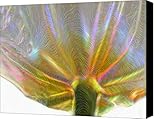 Electric Tulip Canvas Print / Canvas Art - Artist Linda Sannuti