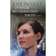 In einer regnerischen Nacht: Roman