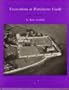 Excavations at Portchester Castle (Reports / Society of Antiquaries of London. Research Committee)