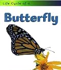Butterfly (Life Cycle of a)