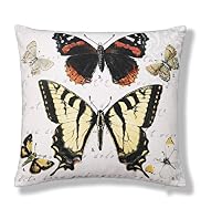 Botanical Butterfly Print Cushion