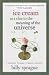 Ice Cream as a Clue to the Meaning of the Universe: A Journey Toward Eternal Delight
