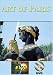 Art of Paris DVD