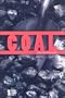 Coal (Opposing Viewpoints)