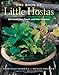 The Book of Little Hostas: 200 Small, Very Small, and Mini Varieties