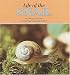 Life of the Snail (Nature Watch)