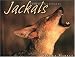Jackals