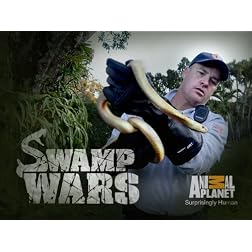 Swamp Wars Season 2