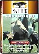 Cloud: Wild Stallion of the Rockies / Cloud's Legacy: The Wild Stallion Returns (PBS Nature)