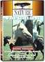 Cloud: Wild Stallions of the Rockies / Cloud's Legacy: The Wild Stallion Returns (Double Feature)