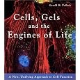 Cells, Gels and the Engines of Life