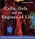 Cells, Gels and the Engines of Life