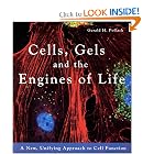 Cells, Gels and the Engines of Life by Gerald H. Pollack