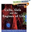 Cells, Gels and the Engines of Life by  Gerald H. Pollack