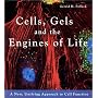 Cells, Gels and the Engines of Life
