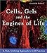 Cells, Gels and the Engines of Life: A New, Unifying Approach to Cell Function