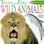 Wild Animals (DK Touch & Feel)
