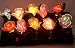 Fiber Optic~1 Set 10 Roses~Wedding Garden String Lights~Indoor/Outdoor