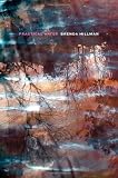 Practical Water (Wesleyan Poetry Series)