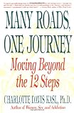 Many Roads One Journey: Moving Beyond the 12 Steps