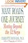 Many Roads One Journey: Moving Beyond the 12 Steps
