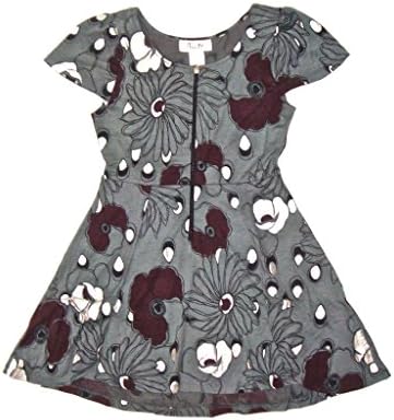 Chanceful Women's Vintage Fit and Flare Spring Garden Cap Sleeve Picnic Dress Small Gray/Silver