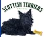 Scottish Terriers (Domestic Dogs)
