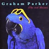Real Macaw
