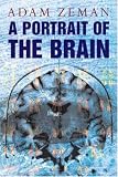 A Portrait of the Brain