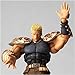 Revoltech Revolution: Raoh Figure_s-3