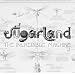 The Incredible Machine